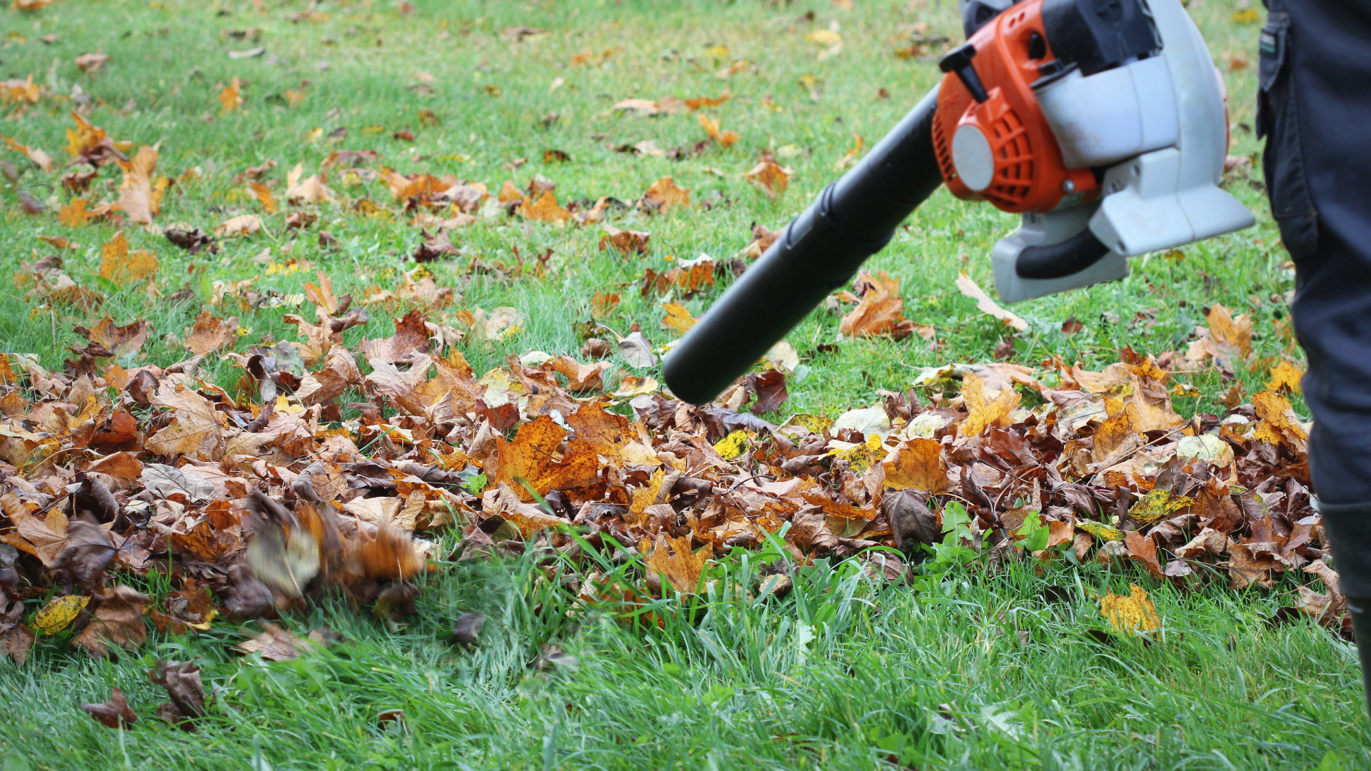 Garden Cleaning Services in Los Angeles